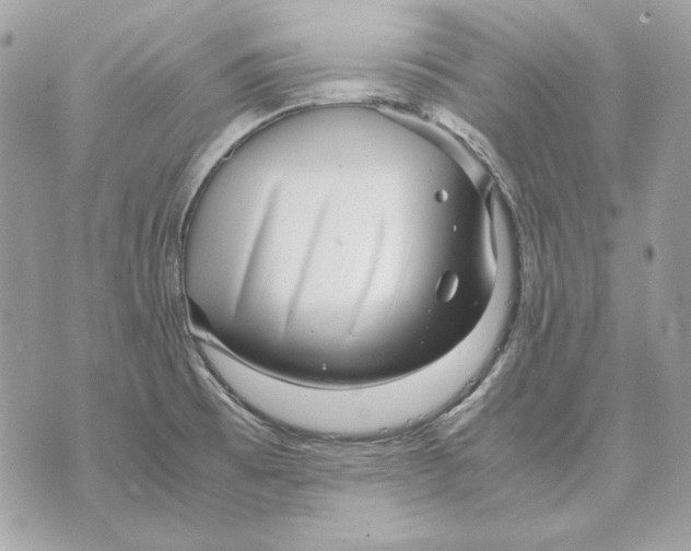 X0000070211473200606161629