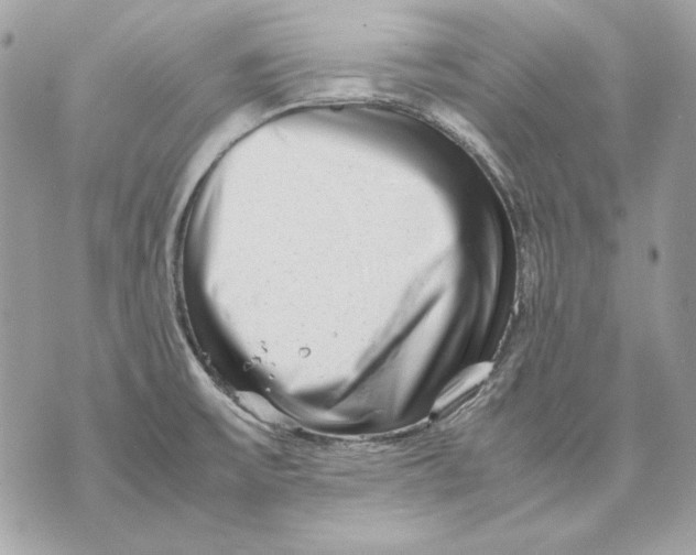 X0000070211475200606161629