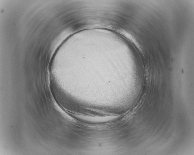 X0000070211476200606161629