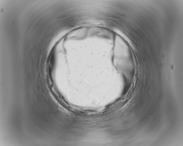 X0000070211477200606161629