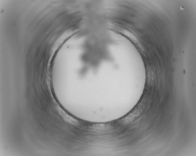 X0000070211478200606161629