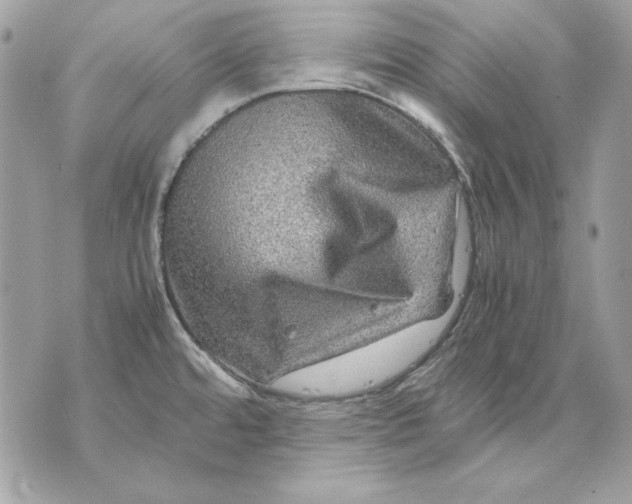 X0000070211480200606161629