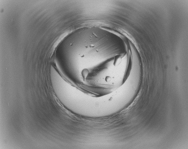 X0000070211481200606161629