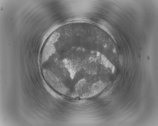 X0000070211482200606161629