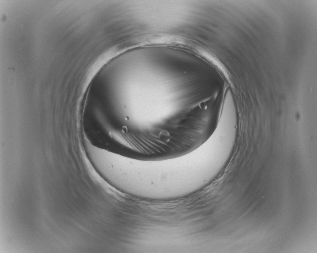 X0000070211483200606161629