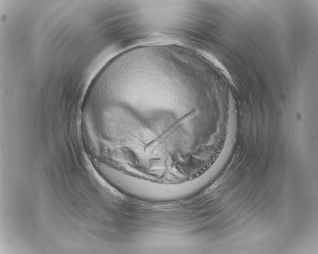 X0000070211484200606161629