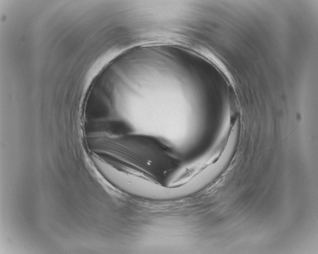 X0000070211485200606161629