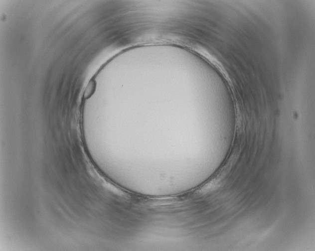 X0000070211486200606161629