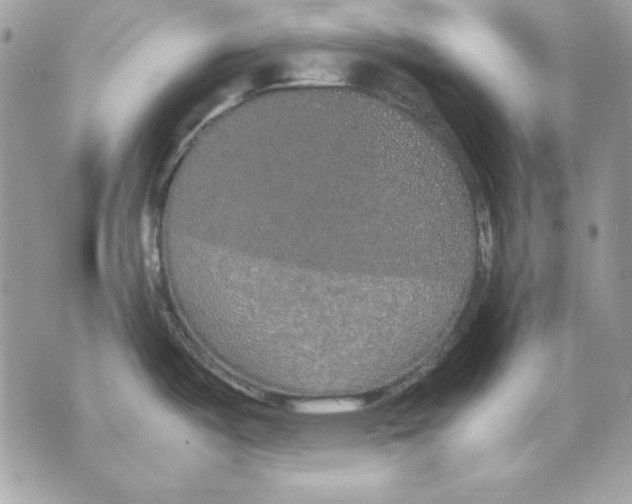 X0000070211487200606161629