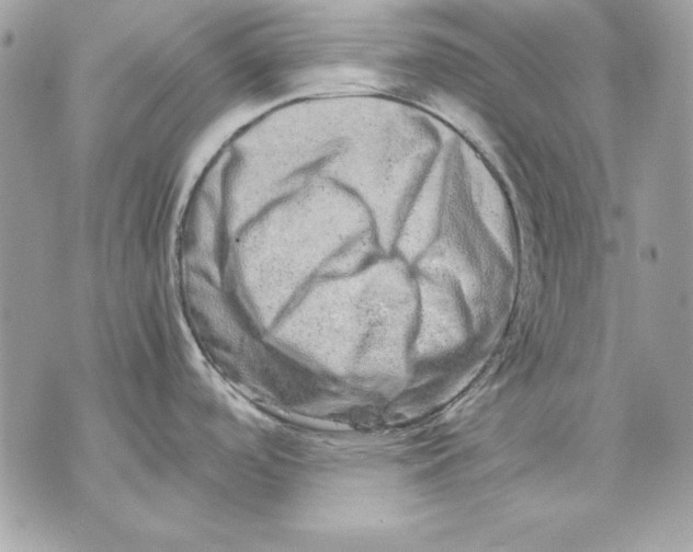 X0000070211488200606161629