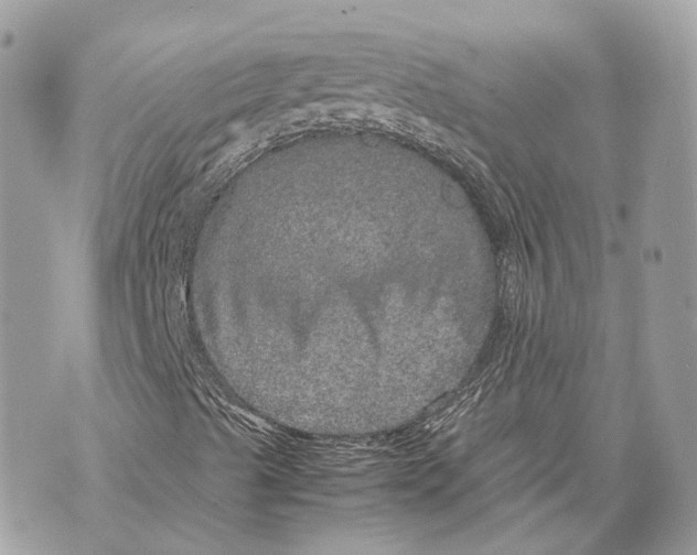 X0000070211489200606161628