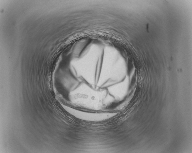 X0000070211490200606161628