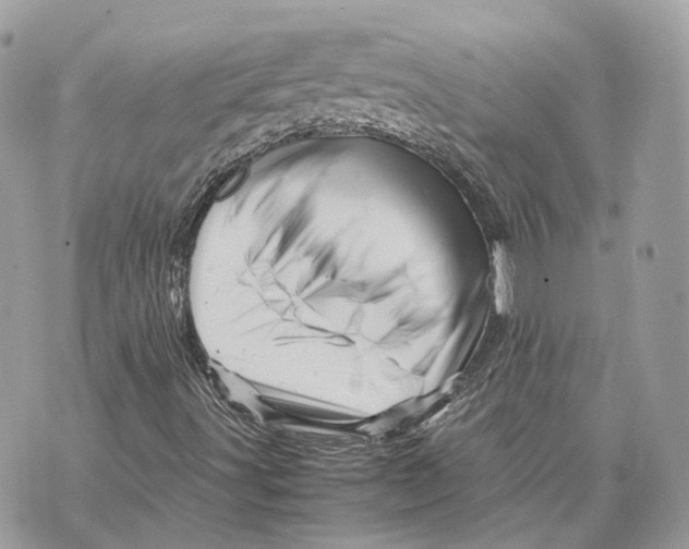 X0000070211491200606161628