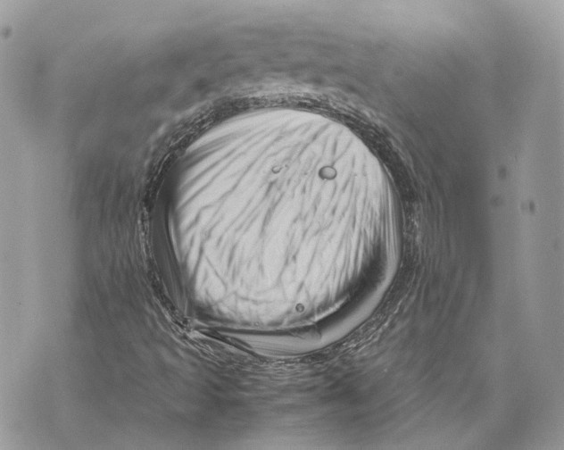 X0000070211493200606161628