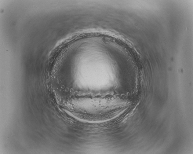 X0000070211494200606161628