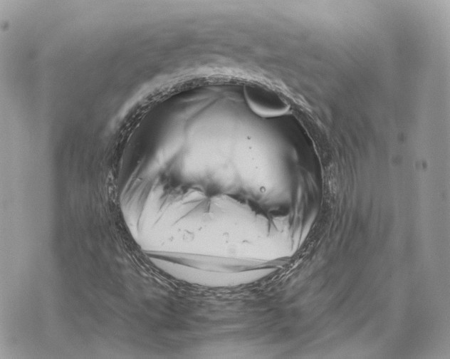 X0000070211495200606161628