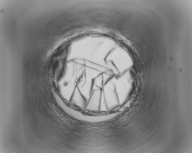 X0000070211496200606161628