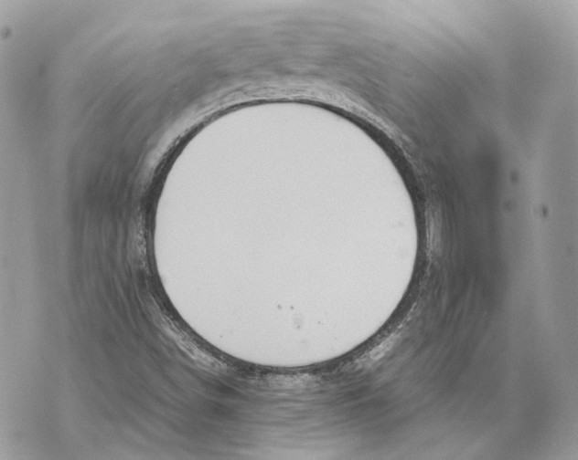 X0000070211498200606161628