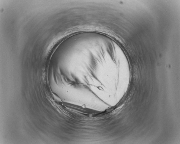 X0000070211499200606161628