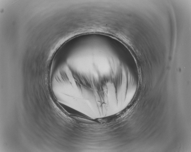 X0000070211500200606161628