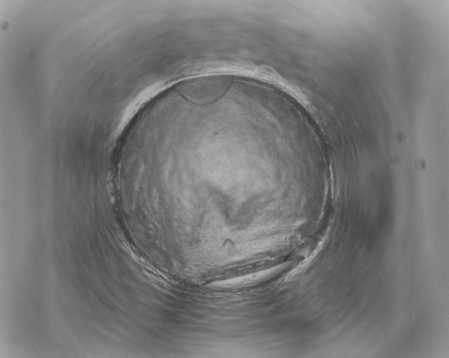 X0000070211501200606161628