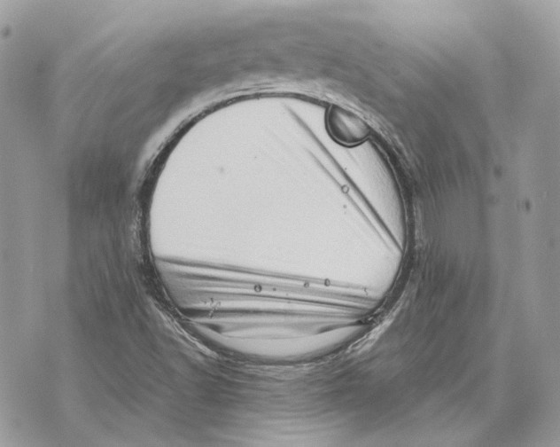 X0000070211502200606161628