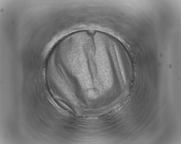 X0000070211503200606161628