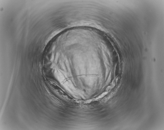 X0000070211505200606161628