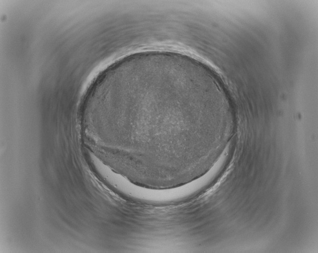 X0000070211506200606161628