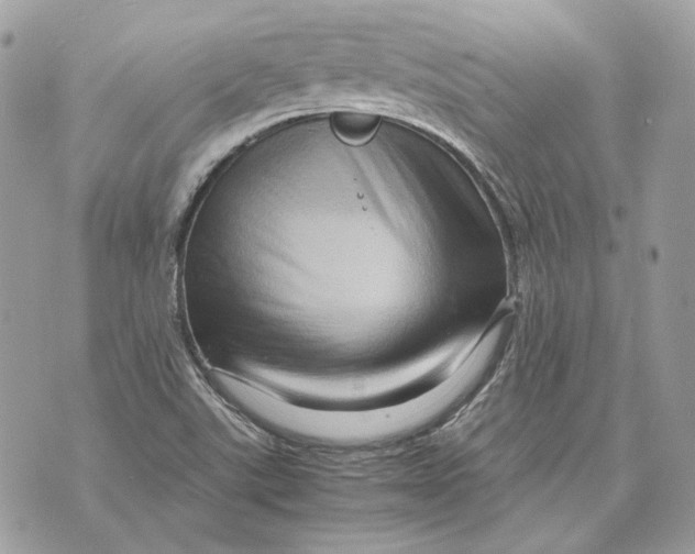 X0000070211507200606161628