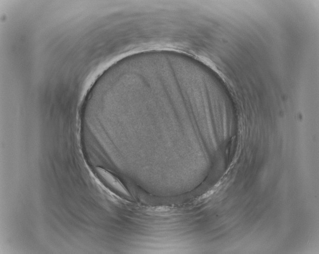 X0000070211508200606161628