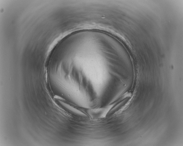 X0000070211509200606161628