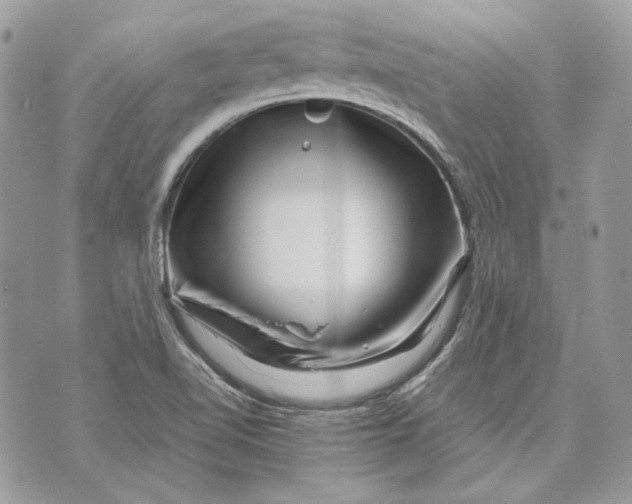 X0000070211510200606161628