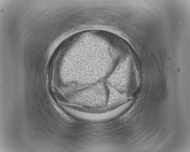 X0000070211511200606161628