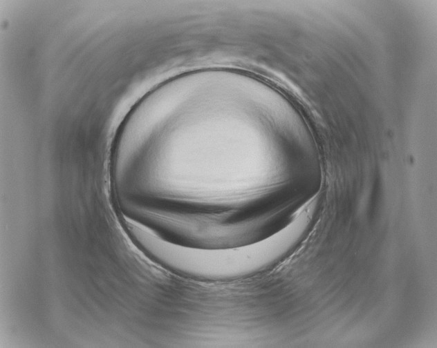 X0000070211512200606161628