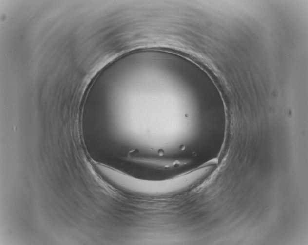 X0000070211513200606161628