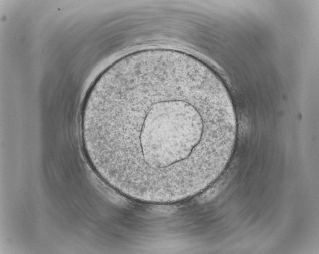 X0000070211514200606161628