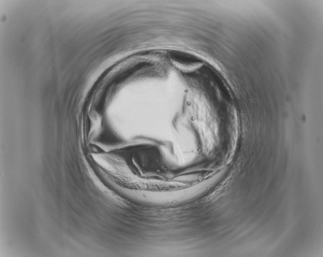 X0000070211515200606161628