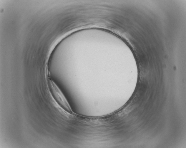 X0000070211516200606161628