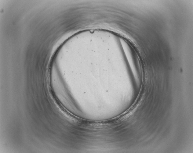 X0000070211517200606161628