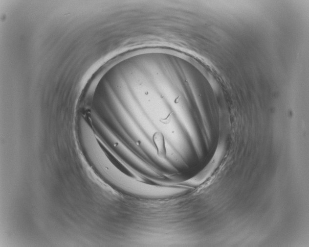 X0000070211518200606161628