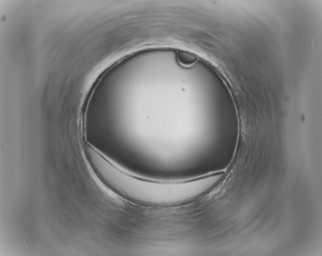 X0000070211519200606161628