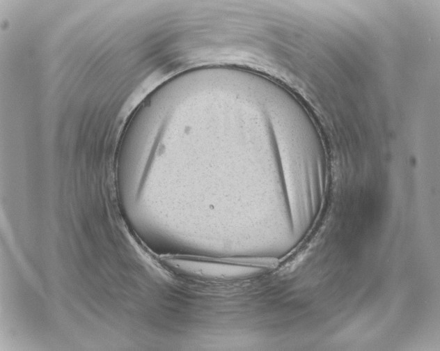 X0000070211521200606161628