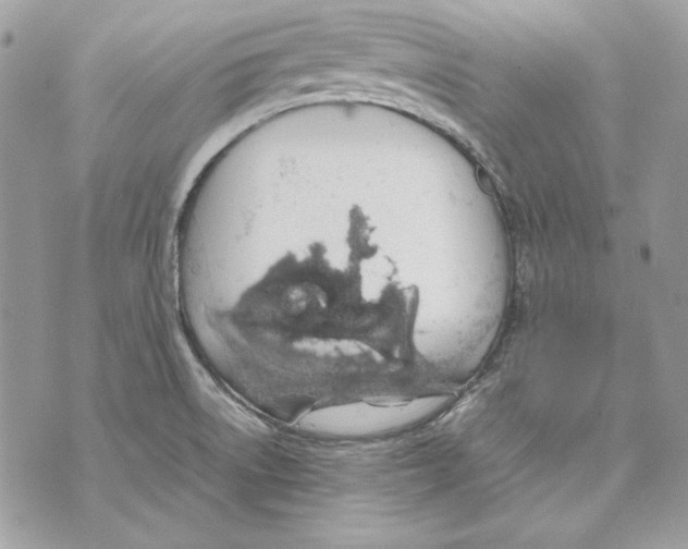 X0000070211522200606161629