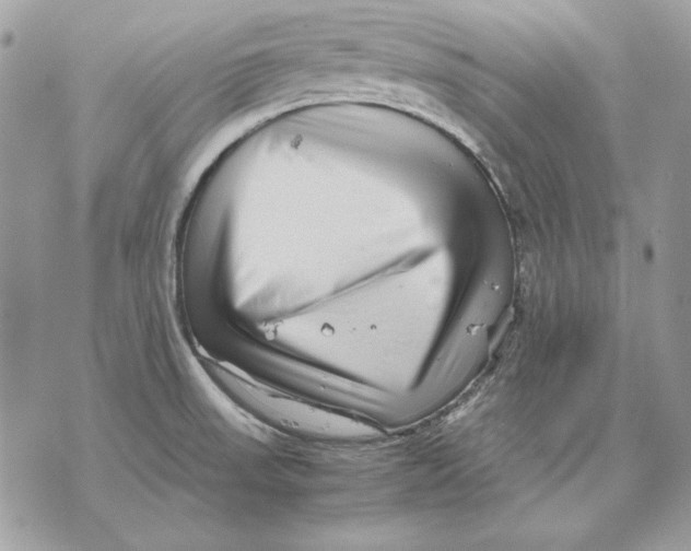 X0000070211523200606161629