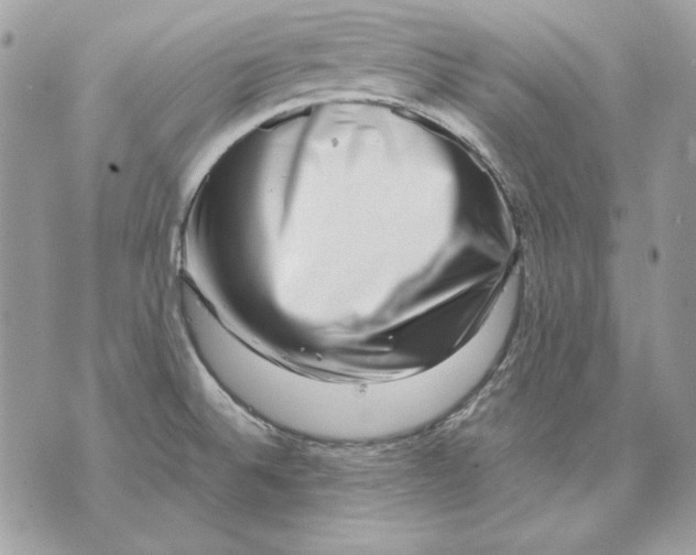 X0000070211524200606161629