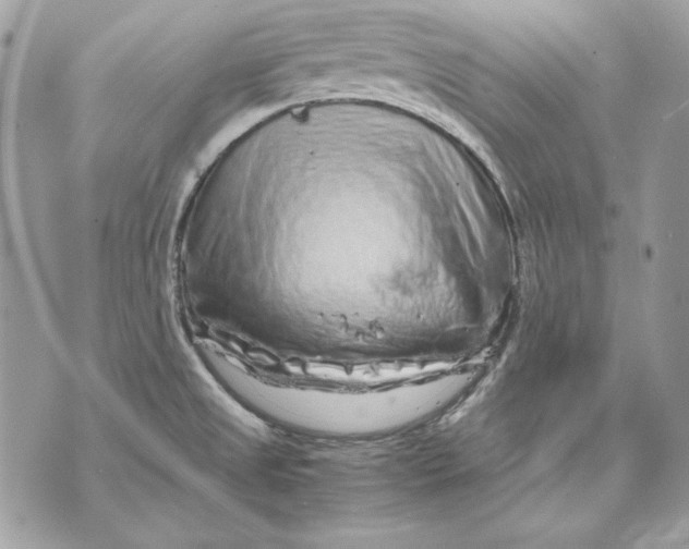 X0000070211525200606161629