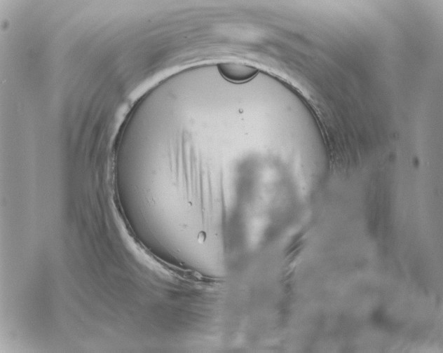 X0000070211526200606161629