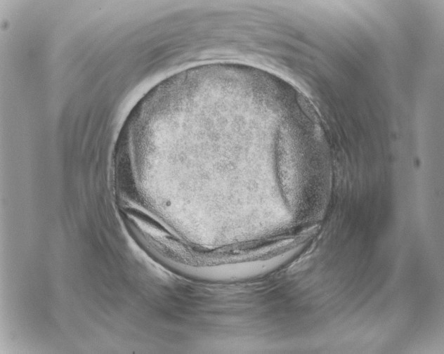 X0000070211527200606161629