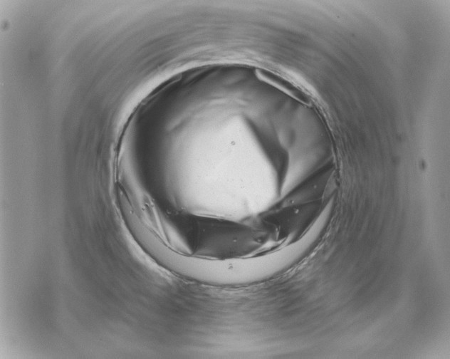 X0000070211528200606161629